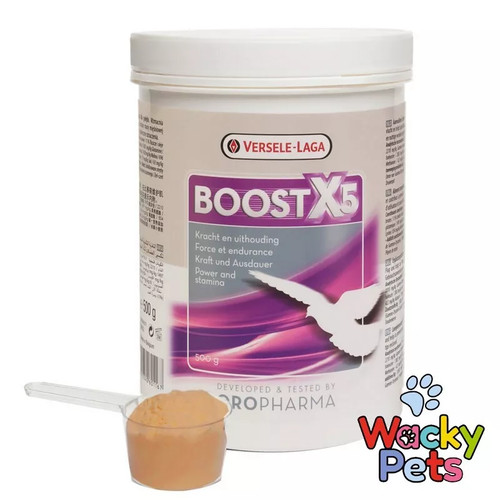 Racing pigeon supplement - racing,