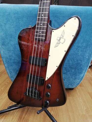 Epiphone thunder bird used - iv,