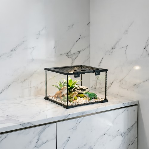 Clear glass reptile terrarium - clear,