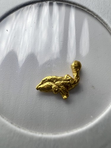 Gold nugget hand panned - gold,