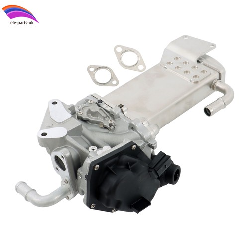 Egr valve for - egr, transporter