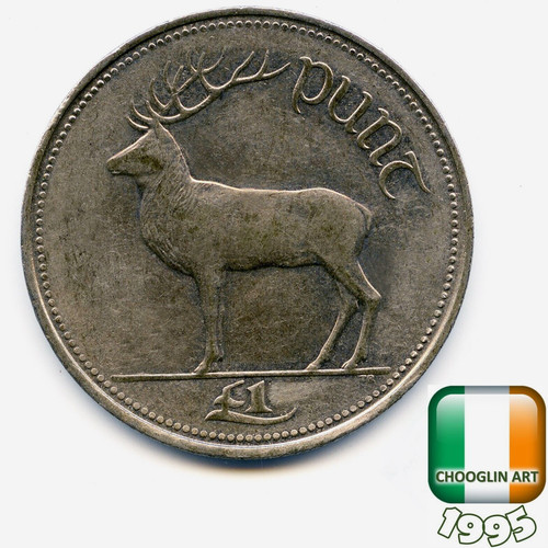 Irish 1995 punt 1 - an,