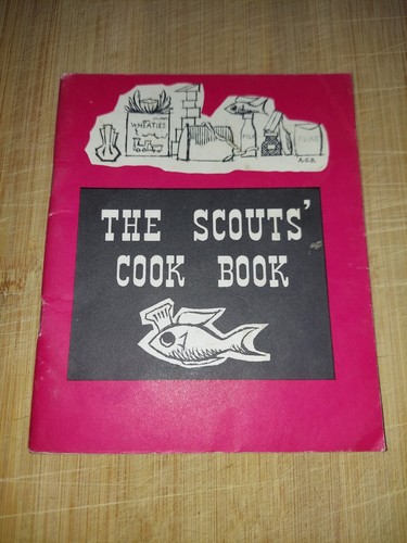 Scouting book the scouts - scouting,