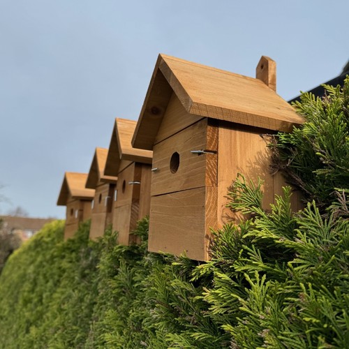 Large wooden multi hole bird - wooden, multi-hole