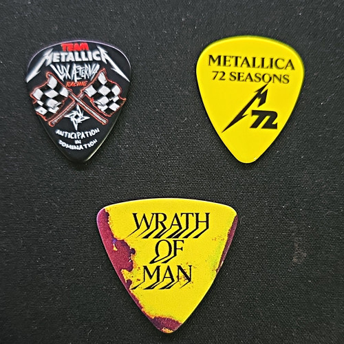 Metallica seasons guitar - metallica,