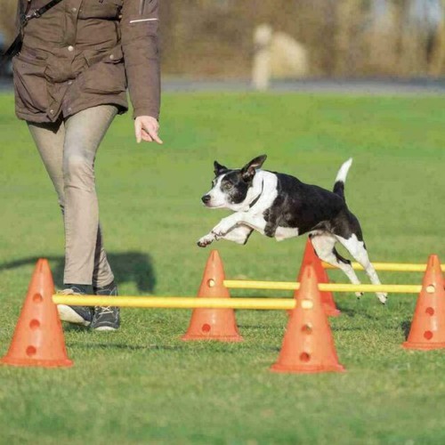 Trixie dog activity obstacle - trixie,