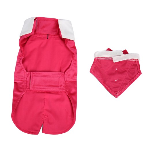 Dog tuxedo suit rose red - dog, bow