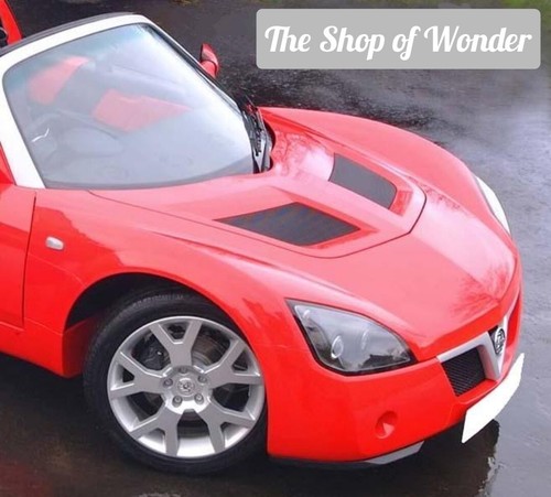 Vx220 style bonnet - vx220,