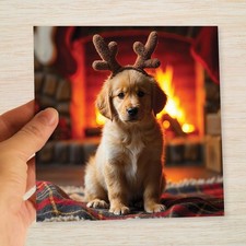 Labrador Christmas Cards &