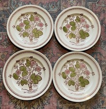 4x Kathie Winkle Dinner Plates Wild Flowers Broadhurst Ironstone 24cm Vintage