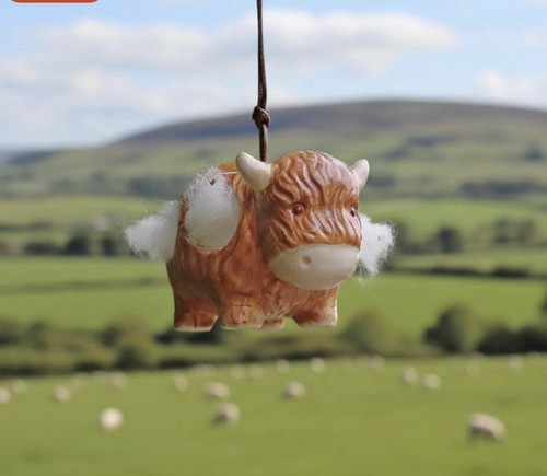 Hairie the highland cow - hairie,