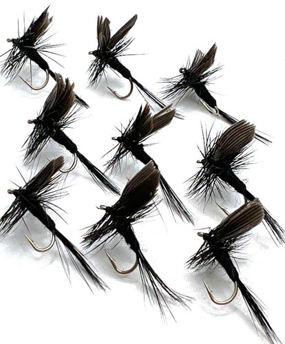 24trout fly fishing dry - 8,