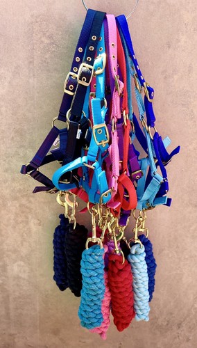 Mini shetland headcollar - mini-shetland, &