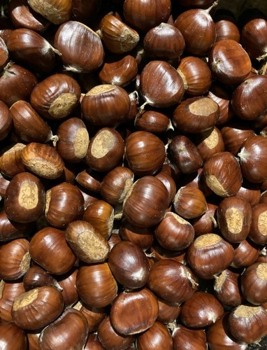 1kg sweet chestnuts - 1kg,