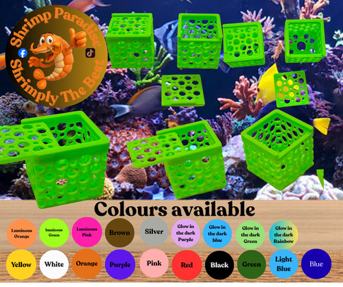Marine safe mushroom - 3d, coral