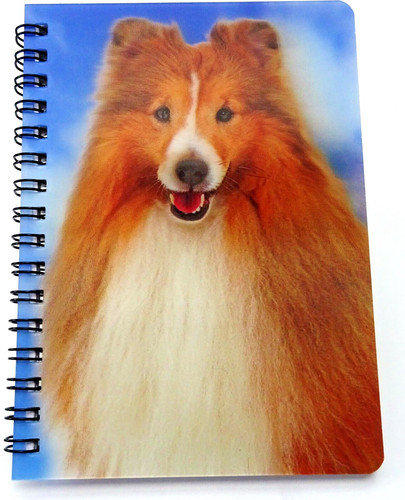Shetland sheepdog pocket - sheepdog,
