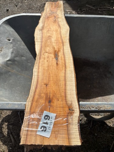 Yew plank wood - plank,yew, wood,yew