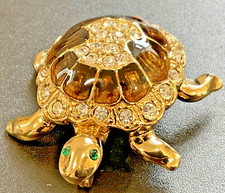 Cute Attwood and Sawyer Turtle