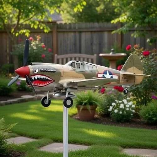 Shark mouth airplane wind - mouth,