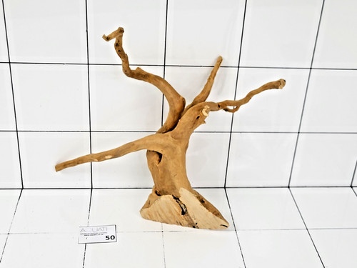 Premium aquarium natural wood - aquarium,
