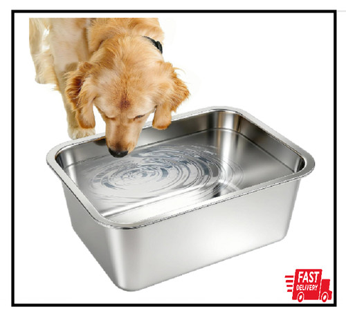 Gallons large dog water - gallons,