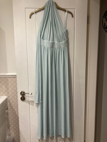 Duck egg blue - duck,