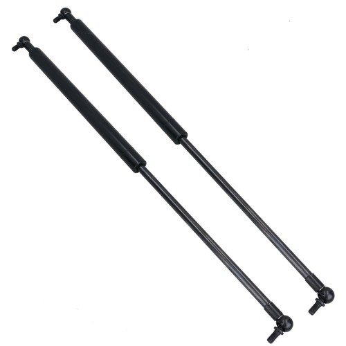 Gas spring strut for brian - for,