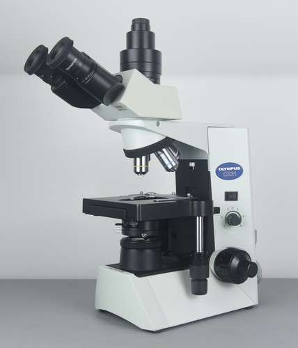 Professional olympus cx31 - professional,