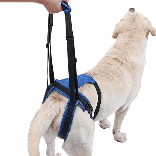 Rear dog support lift harness - support,