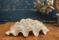 Natural Vintage Clam Shell