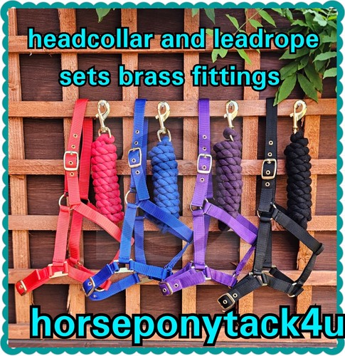 New headcollar and - new,