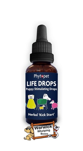 Puppy life saver - life, drops