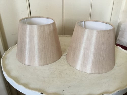Pair slub silk type - of, pale