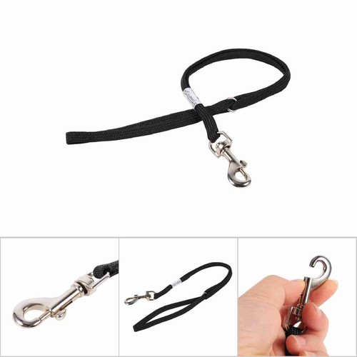 Pet dog cat - pet, grooming