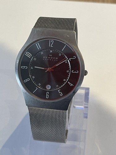 Skagen 233xlttm titanium - skagen,