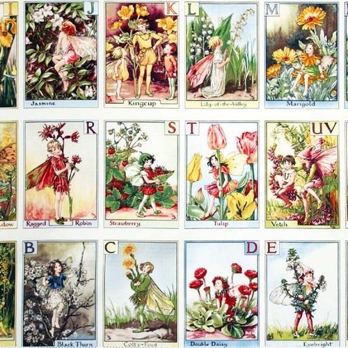 Alphabet flower fairies 100 - flower,