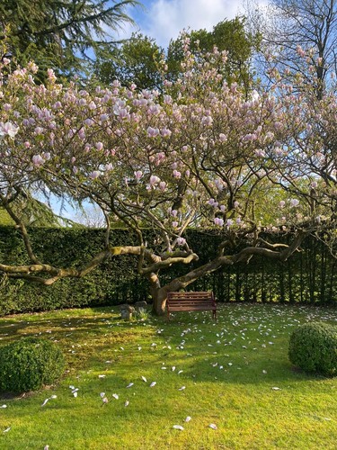 Antique vintage wooden - antique, garden