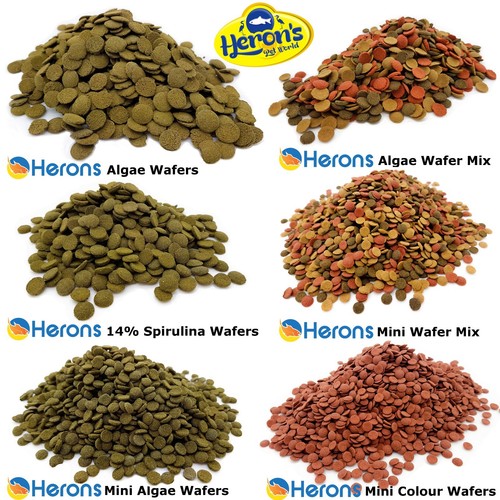Herons premium algae - algae, wafers