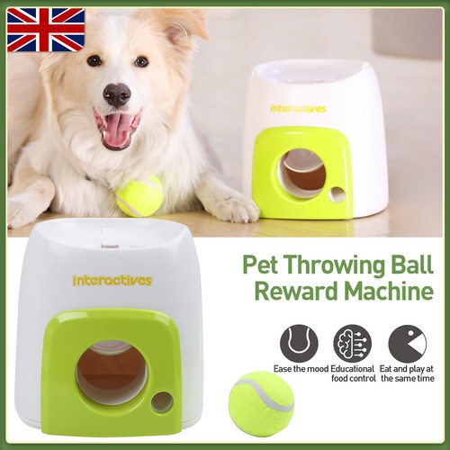 Dog automatic ball launcher - automatic,
