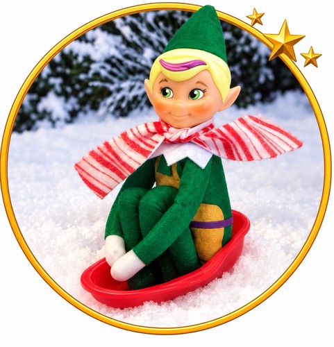 Elf the shelf - the,