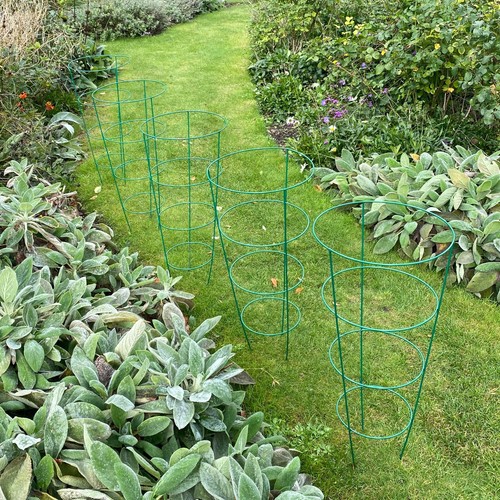 Metal conical garden plant - metal,