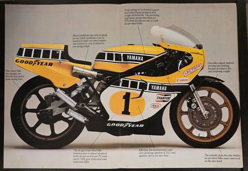 1980 yamaha road - tz,