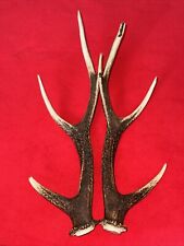 PAIR OF SIKA DEER ANTLERS