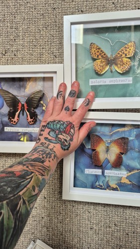 Trio framed faux - faux, butterfly