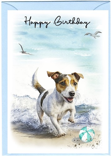 Jack russell terrier dog x - terrier,