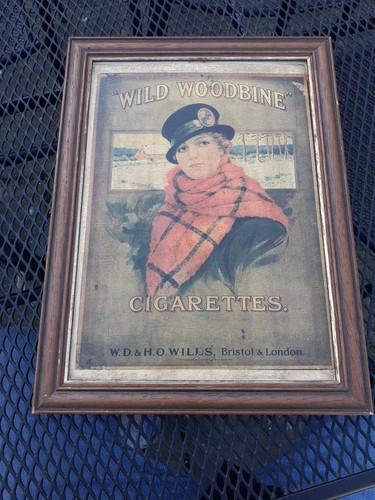 Vintage wild woodbine - wild,