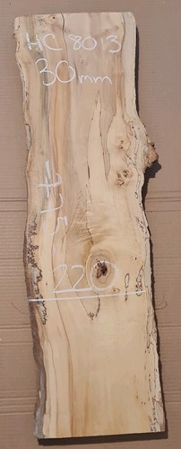 Spalted chestnut live edge - chestnut,