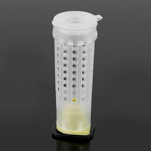 Queen cage environmentally - queen,