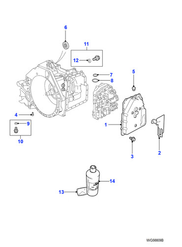 Jaguar level plug - jaguar,