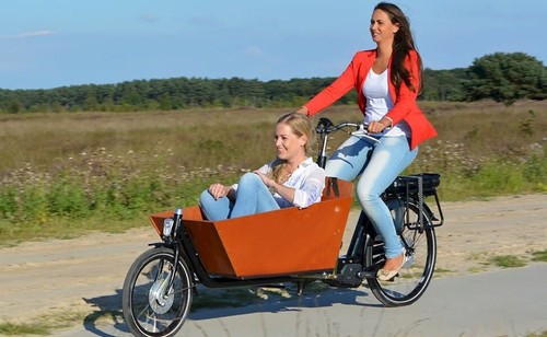 New family cargo bike bicycles - new,